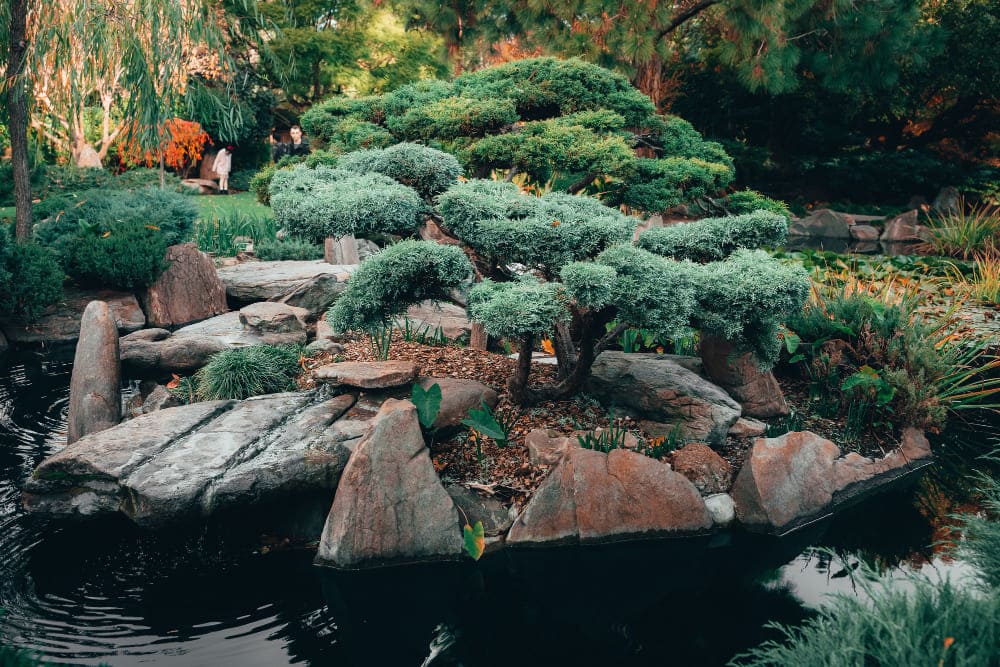 Rocky Mountain Landscape: Your Full-Service Outdoor Design Experts